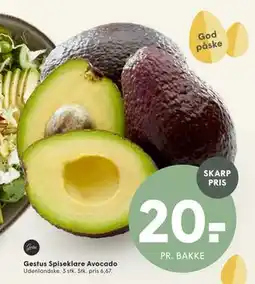 SPAR Gestus Spiseklare Avocado tilbud