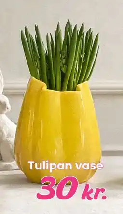 Hi five Tulipan vase tilbud