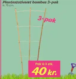 Hi five Plantestativsæt bambus 3-pak tilbud