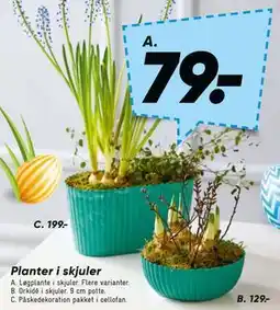 Bilka Planter i skjuler tilbud