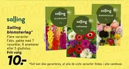 Bilka Salling blomsterløg tilbud