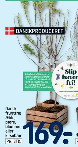 REMA 1000 Dansk frugttræ Æble, pære, blomme eller tilbud