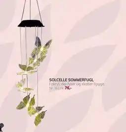 Daells Bolighus SOLCELLE SOMMERFUGL tilbud