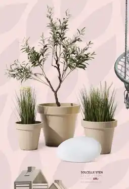 Daells Bolighus SOLCELLE STEN tilbud