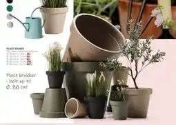 Daells Bolighus PLAST KRUKKE tilbud