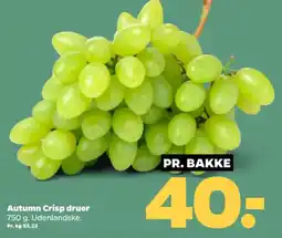Netto Autumn Crisp druer tilbud