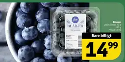 Løvbjerg Blåbær tilbud