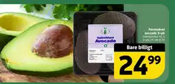 Løvbjerg Formodnet avocado 3-pk tilbud