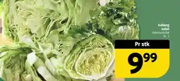 Løvbjerg Iceberg salat tilbud