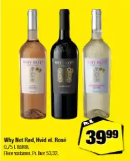 Calle Why Not Red, Hvid el. Rosé tilbud
