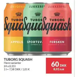 Nielsen's Discount TUBORG SQUASH tilbud