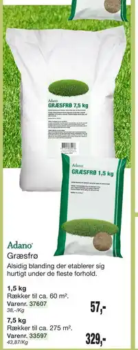 Harald Nyborg Græsfrø tilbud