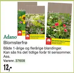 Harald Nyborg Blomsterfrø tilbud