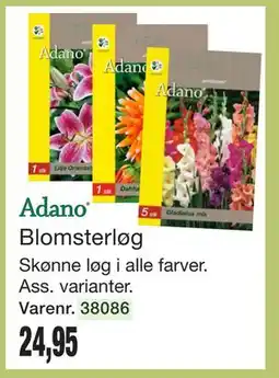 Harald Nyborg Blomsterløg tilbud