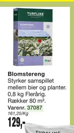 Harald Nyborg Blomstereng tilbud