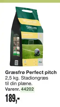 Harald Nyborg Græsfrø Perfect pitch tilbud