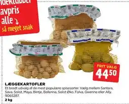 jem & fix LÆGGEKARTOFLER tilbud