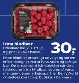 Kvickly Irma hindbær tilbud