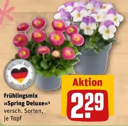 REWE DE Frühlingsmix Spring Deluxe tilbud