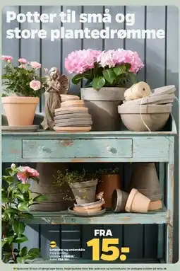 Netto Potter til små og store plantedrømme tilbud