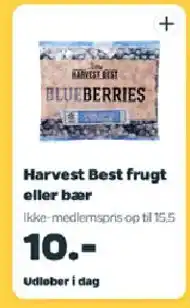Netto Harvest Best frugt eller bær tilbud