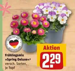 REWE DE Frühlingsmix Spring Deluxe¹, EUR 2.29 tilbud