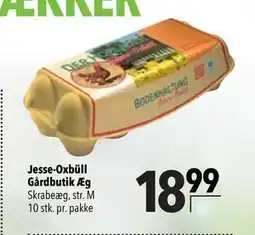 Citti Jesse-Oxbüll Gårdbutik Æg tilbud