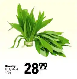 Citti Ramsløg tilbud