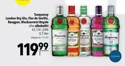 Citti Tanqueray London Dry Gin, Flor de Sevilla, Rangpur, Blackcurrent Royale eller alkoholfri tilbud