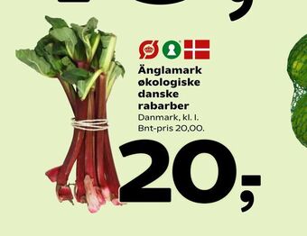 Änglamark økologiske danske rabarber