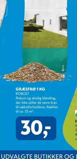 Davidsen GRÆSFRØ 1 KG tilbud