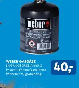 Davidsen WEBER GASDÅSE tilbud