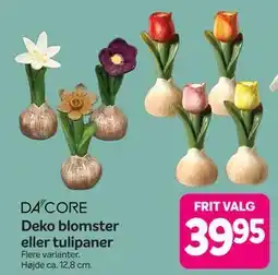 Din Isenkræmmer Deko blomster eller tulipaner tilbud