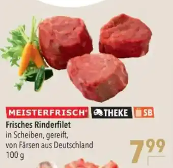 Citti Frisches Rinderfilet tilbud