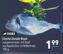 Citti Frische Dorade Royal tilbud