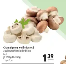 Citti Champignons weiß oder rosé tilbud