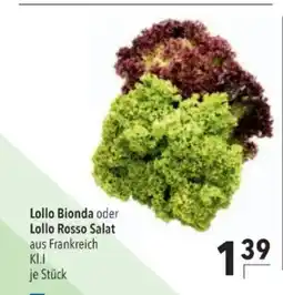 Citti Lollo Bionda oder Lollo Rosso Salat tilbud