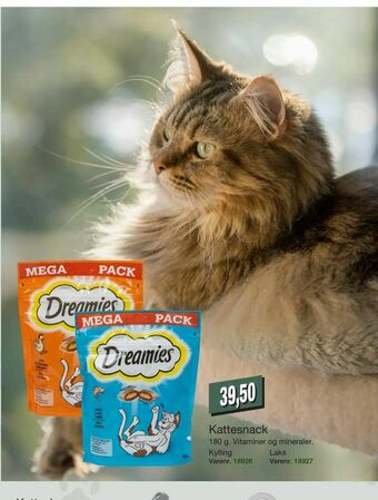 Kattesnack