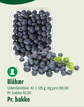 Blåbær
