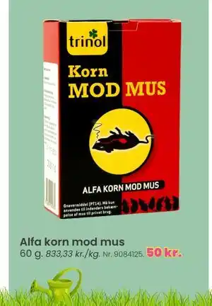 Alfa korn mod mus