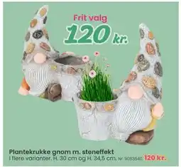 Hi five Plantekrukke gnom m. steneffekt tilbud