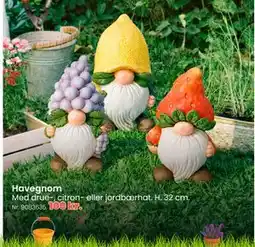 Hi five Havegnom tilbud