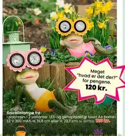 Hi five Solcellelampe frø tilbud