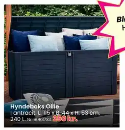 Hi five Hyndeboks Ollie tilbud