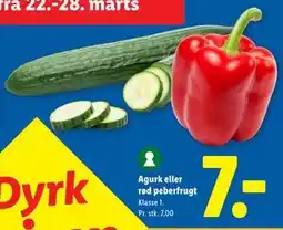 Lidl Agurk eller rød peberfrugt tilbud