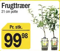 ABC Lavpris Frugttræer tilbud