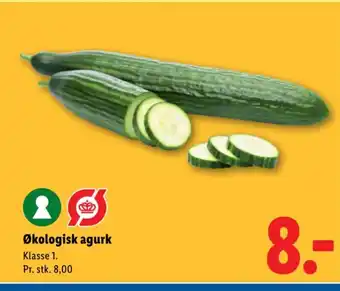 Lidl Økologisk agurk tilbud