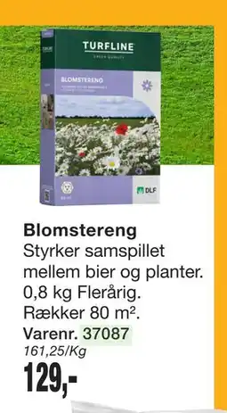 Harald Nyborg Blomstereng tilbud