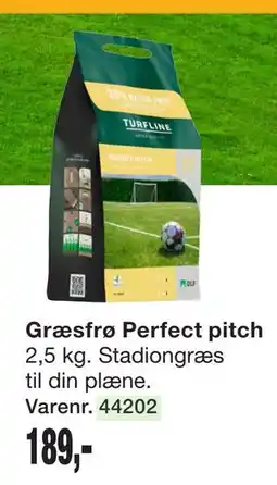 Harald Nyborg Græsfrø Perfect pitch tilbud