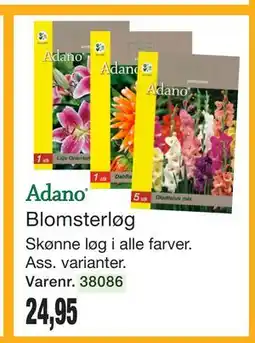 Harald Nyborg Blomsterløg tilbud